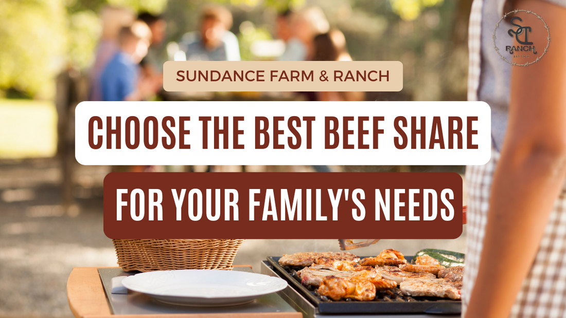 How to Choose the Best Beef Share for Your Family's Needs