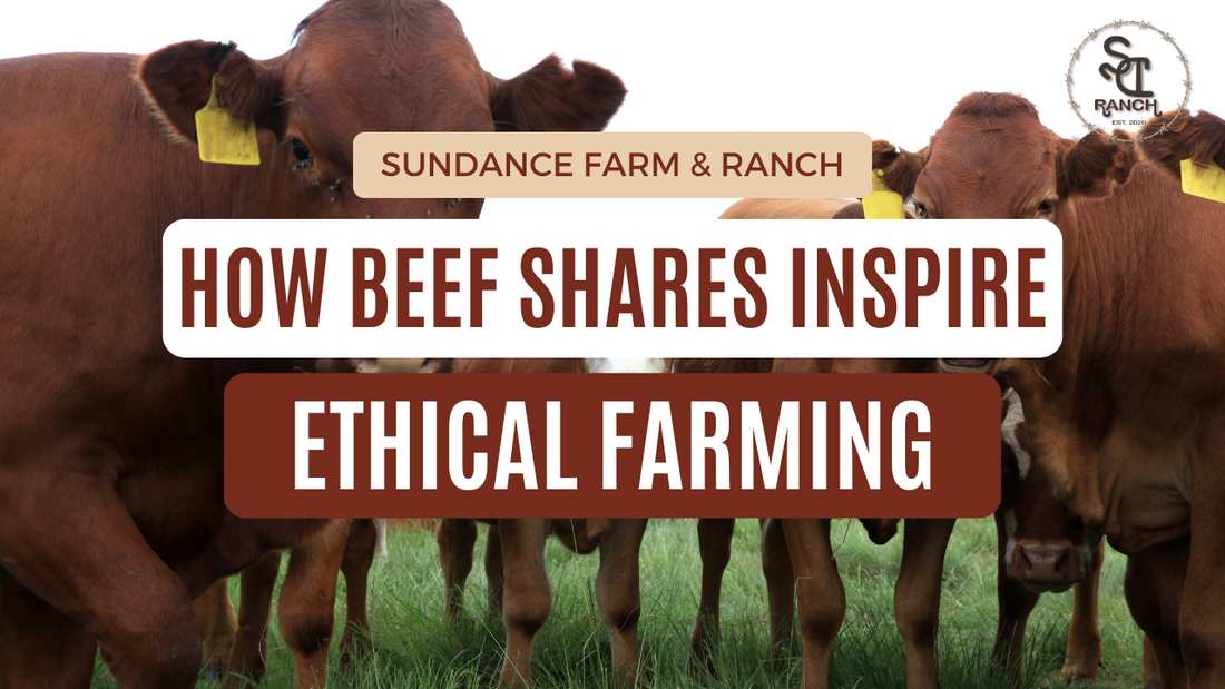 How Beef Shares Inspire Ethical Farming