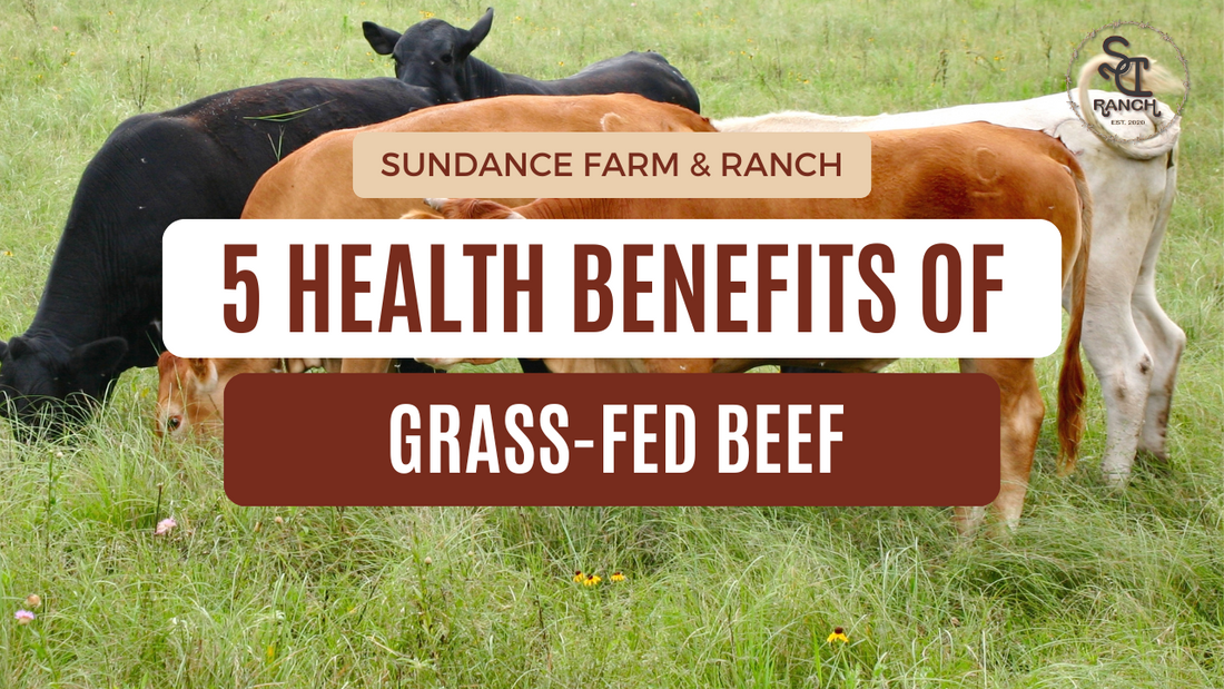 5 Health Benefits of Grass-Fed Beef