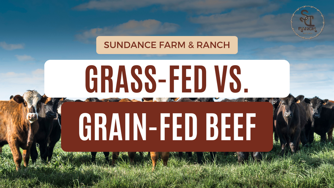 Grass-Fed vs. Grain-Fed