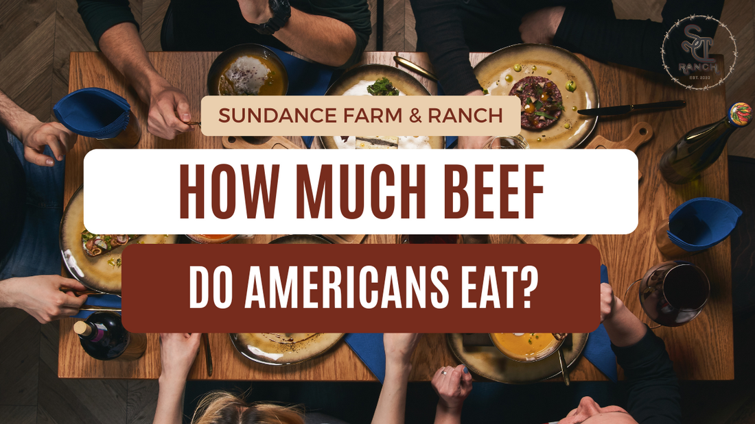 Beef In American Families