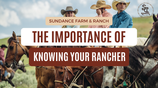 The Importance of Knowing Your Rancher: A Connection to Sustainable Food