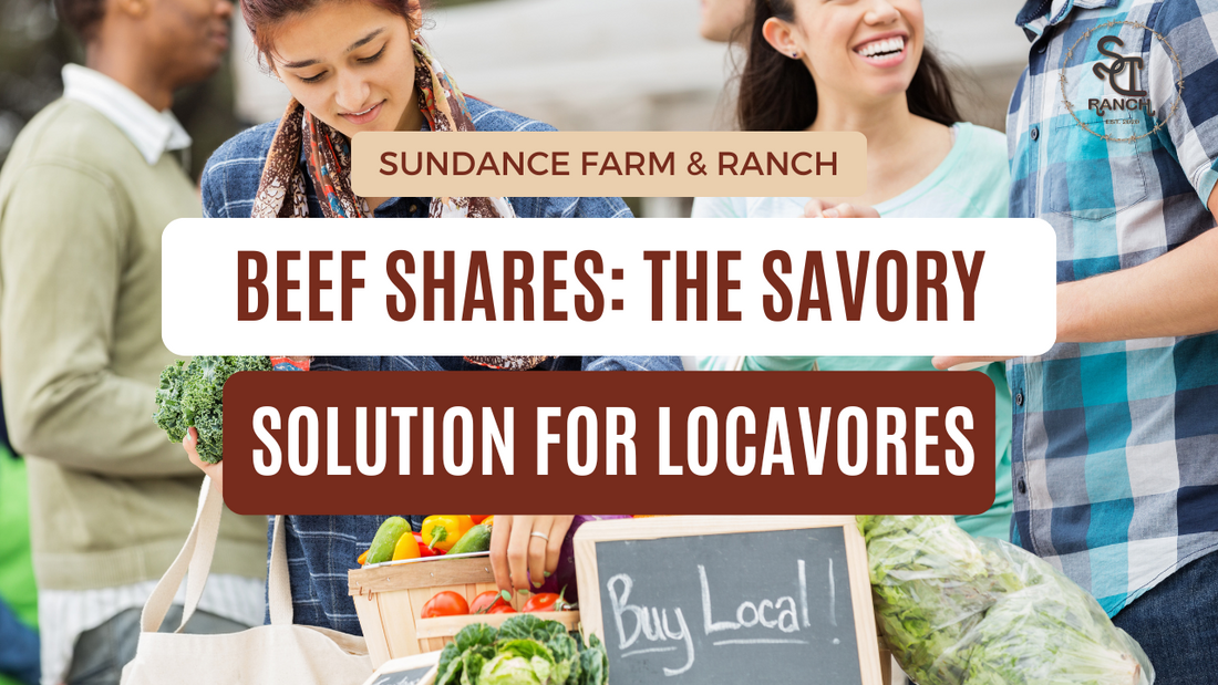 Beef Shares: The Savory Solution for Locavores Hungry for Flavor