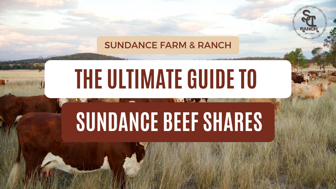 The Ultimate Guide to Sundance Beef Shares: Everything You Need to Know