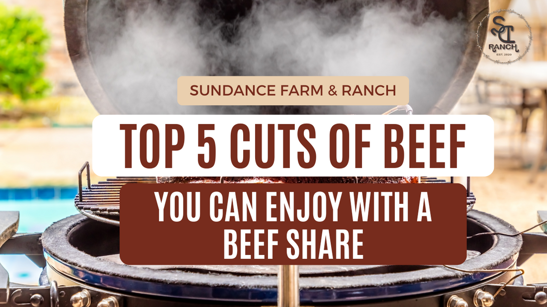 Top 5 Cuts of Beef You Can Enjoy With A Beef Share