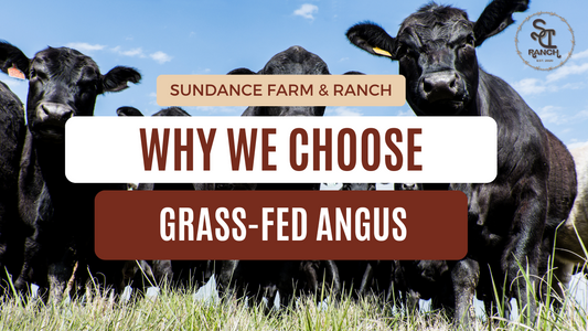 The Superiority of Grass-Fed Angus Beef: A Cut Above the Rest