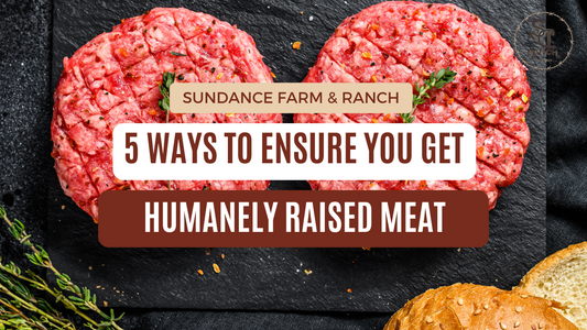 5 Ways to Ensure You Get Humane Meat for Grilling Season