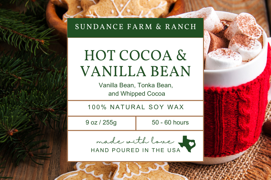 Hot Cocoa & Vanilla Bean Candle - 9oz