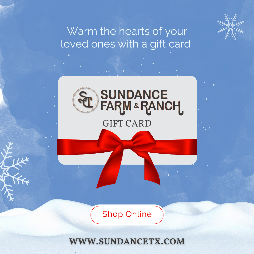 Sundance Holiday Gift Card