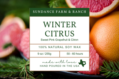 Winter Citrus Candle - 9oz