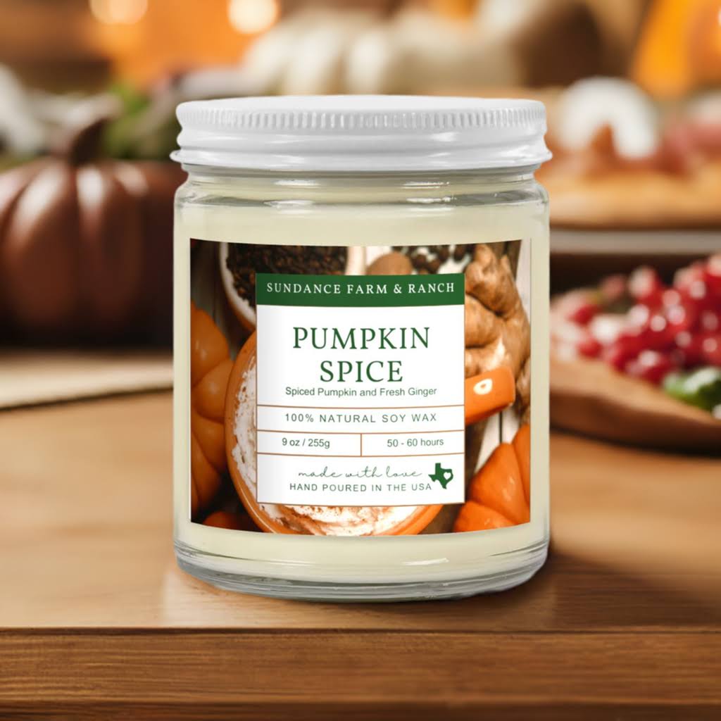 Pumpkin Spice Candle - 9oz