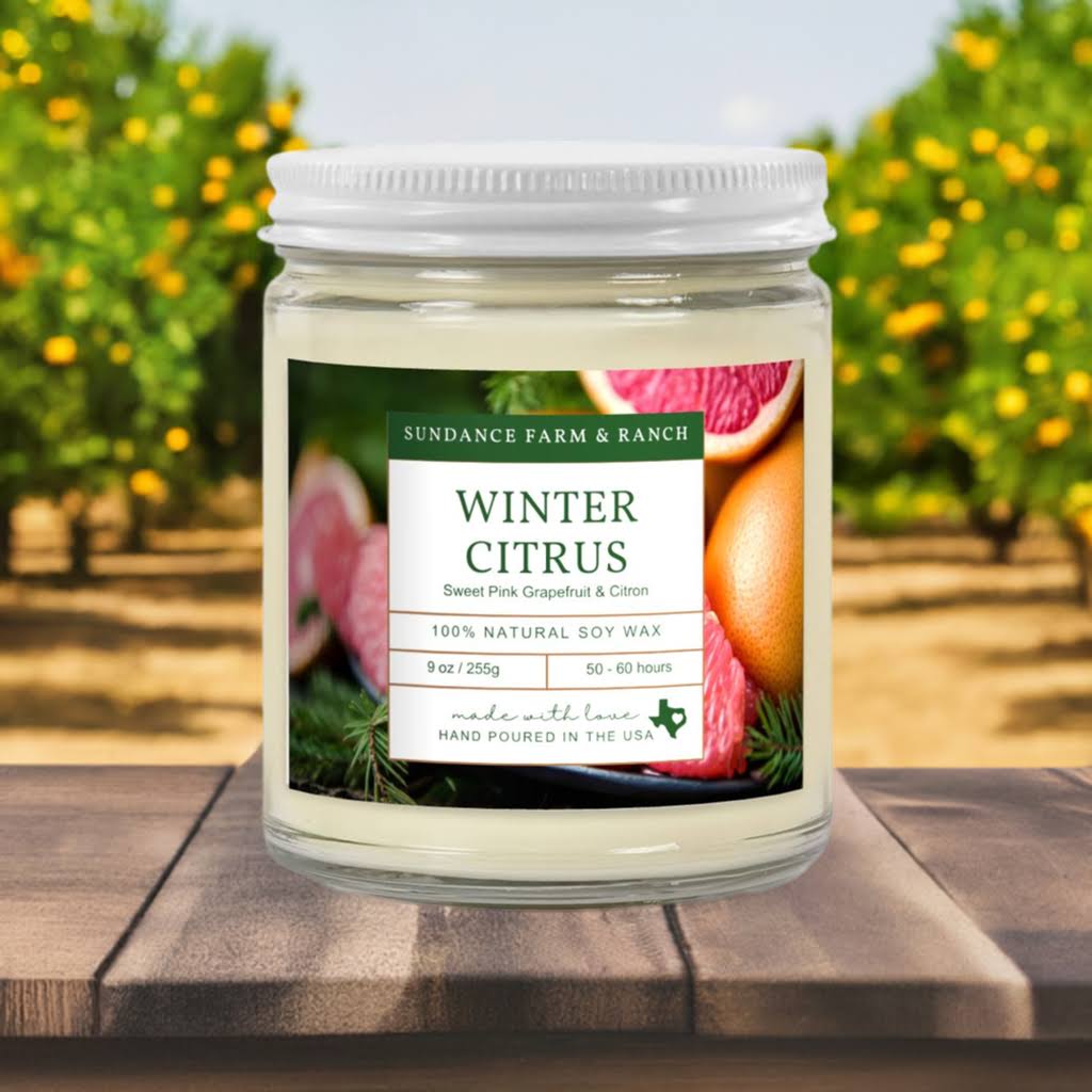 Winter Citrus Candle - 9oz